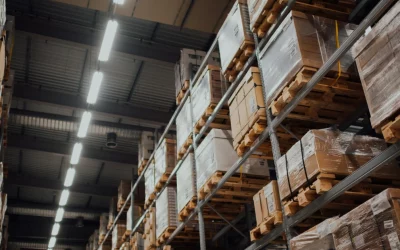 Warehouse Management Software for Small Business: What It Does, What to Look For, and How to Choose